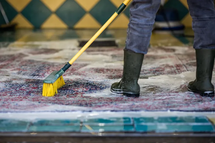 Professional rug cleaning process